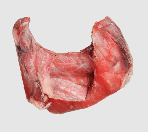 Tuna Panga Medium (approx. 500-600g up)